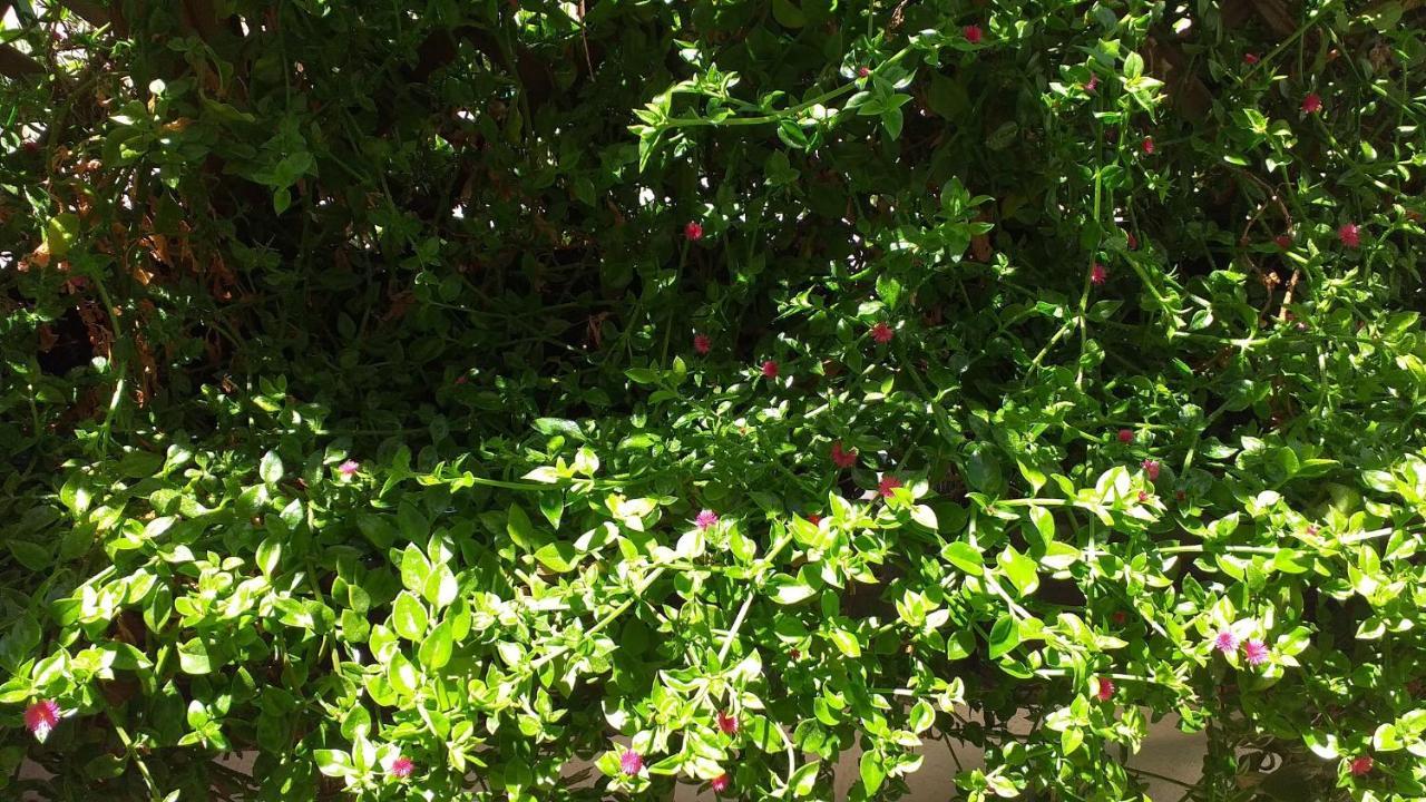 Bed and Breakfast Attico Barocco Lecce Exterior foto
