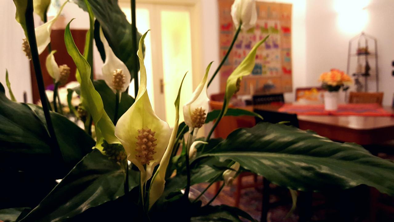 Bed and Breakfast Attico Barocco Lecce Exterior foto